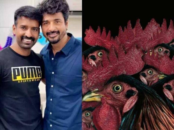 Sivakarthikeyan - Soori Combo : காமெடியன் டூ ஹீரோ... சூரிக்கு அடித்த இரண்டாவது ஜாக்பாட்... SKவின் மூன்றாவது தயாரிப்பு 'கொட்டுகாளி