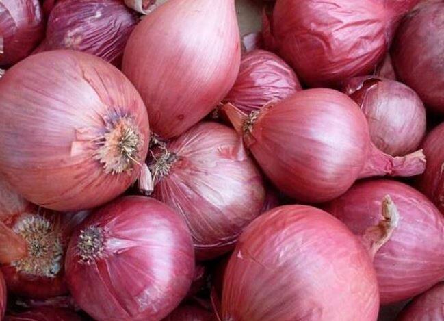 बाजार समितीमध्ये लवकरच कांदा खरेदी केंद्रे (Onion buying centers) सुरु करण्यात येतील असंही त्यांनी सांगितले होते. मात्र, प्रत्यक्षात परिस्थिती वेगळी असल्याचे चित्र दिसून आले.