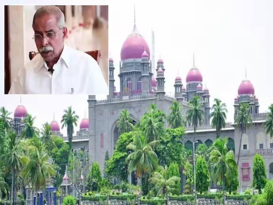 Viveka Murder Case : వివేకా హత్య కేసులో అసలు నేరస్థుడు ఆయన అల్లుడే - అవినాష్ రెడ్డి న్యాయవాది వాదనలు Hyderabad Viveka Murder case MP Avinash reddy lawyer alleged Viveka son in law main culprit in murder case TS High court Viveka Murder Case : వివేకా హత్య కేసులో అసలు నేరస్థుడు ఆయన అల్లుడే - అవినాష్ రెడ్డి న్యాయవాది వాదనలు