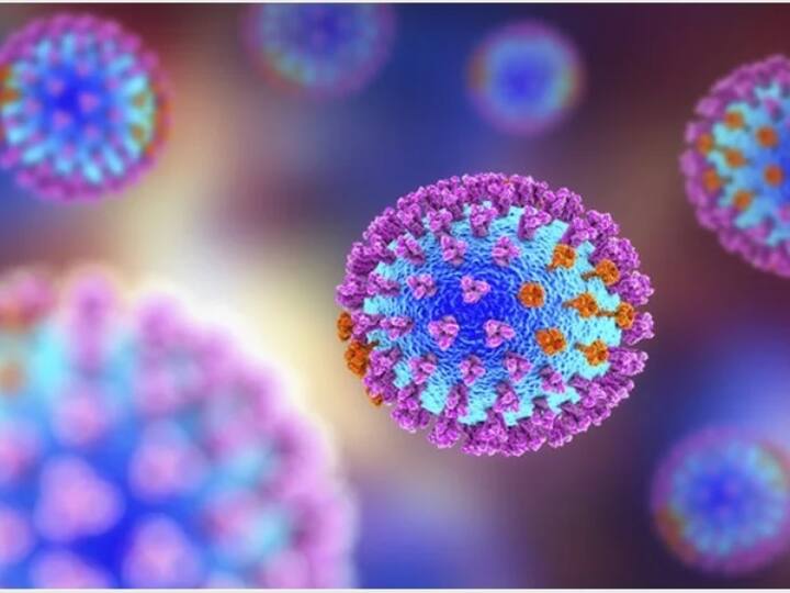 h3n2 influenza virus india reports two deaths each in haryana and karnataka H3N2 Influenza Virus : इन्फ्लुएंझा विषाणूमुळे दोन जणांचा मृत्यू 
