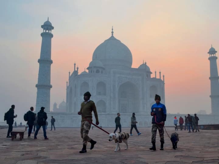 इसके अतिरिक्त, CISF के पास एक विशेष सुरक्षा समूह विंग है, जो कई प्रमुख हस्तियों को सुरक्षा प्रदान करता है, जिन्हें X,Y,Z और Z प्लस श्रेणियों के तहत वर्गीकृत किया गया है. अग्नि दुर्घटनाओं के लिए इसमें एक विशेष फायर विंग भी है.