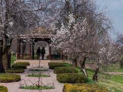 Weather Update: दिल्ली-एनसीआर में बादलों की छांव दे सकती है गर्मी से राहत, कर्नाटक-गोवा समेत इन राज्यों सताएगी लू