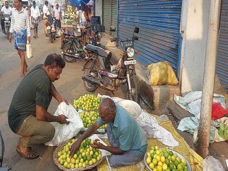 Tiruvarur news price of lemonade has increased by 10 times in Tiruvarur TNN திருவாரூரில் எலுமிச்சை விலையை கேட்டாலே தெறித்து ஓடும் மக்கள்  - வியாபாரிகள் புலம்பல்