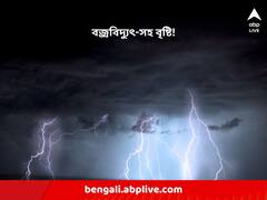 বৃষ্টির ভ্রুকুটি, বেশ কয়েকটি জেলায় বজ্রবিদ্যুৎ-সহ বৃষ্টির সম্ভাবনা