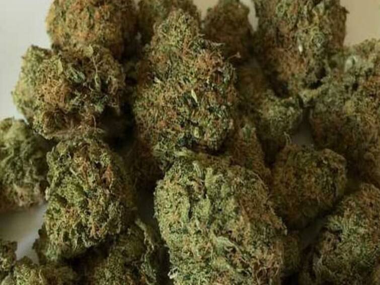 crime 23 kg ganja smuggled from Katpadi to Tuticorin 5 arrested TNN crime: ஆந்திராவில் இருந்து தூத்துக்குடிக்கு கஞ்சா கடத்தல் - காட்பாடியில் சிக்கியது எப்படி..?