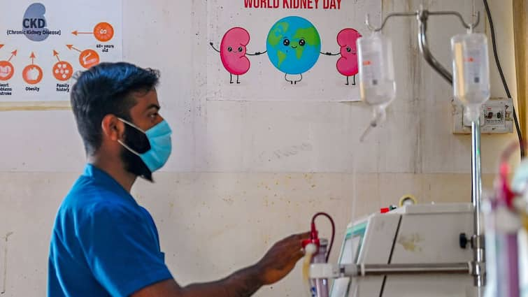 World Kidney Day: কিডনি ভাল রাখতে চান? অবশ্যই এড়াবেন কী কী?