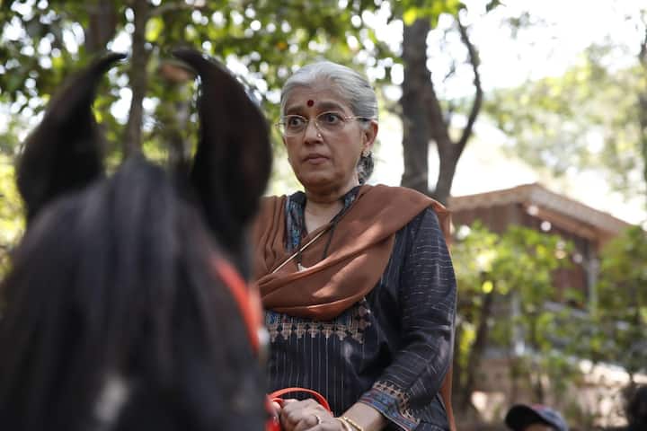 BAA aka Hemlata Dholakia: Hemalata Dholakia is played by the very talented Ratna Pathak Shah who is not your typical Baa.  She's cool in her own way, wears her heart on her sleeve, drinks alcohol in a steel glass, and is always ready to reply with a sassy remark. Is it sarcasm running in her veins or blood…one will never know. But when it comes to her family, she's also incredibly protective of all of them. Her extremely entertaining self is both relatable and witty.