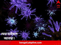 এবার ভয় ধরাচ্ছে