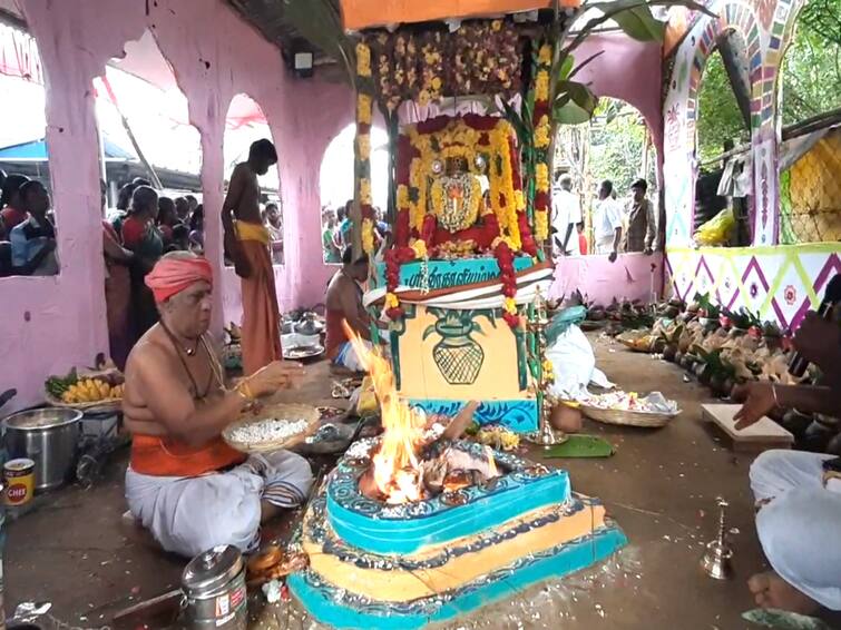 mayiladuthurai kodankudi verakalaiyamman temple festival  TNN கோடங்குடியில் கிராம மக்களால்‌ கட்டப்பட்ட  வீர காளியம்மன் கோயில் கும்பாபிஷேக விழா