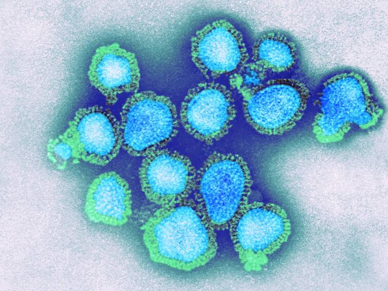 H3N2 Strictly Monitored Seasonal Influenza Cases To Decline By March End Union Health Ministry தொடர் அச்சம்... மார்ச் மாத இறுதிக்குள் H3N2 வைரஸின் தாக்கம் குறையும்... மத்திய அரசு வெளியிட்ட புது தகவல்..!