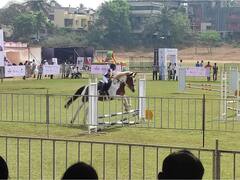 कोल्हापुरात आजपासून पोलो मैदानावर 'द राॅयल हाॅर्स शो'चा थरार