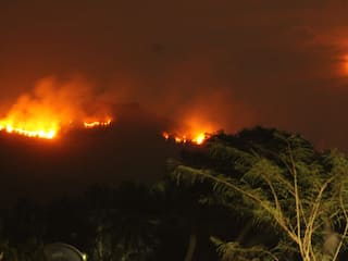 When Will Luthra Brothers Return To India For Trial? Goa Police Share Update