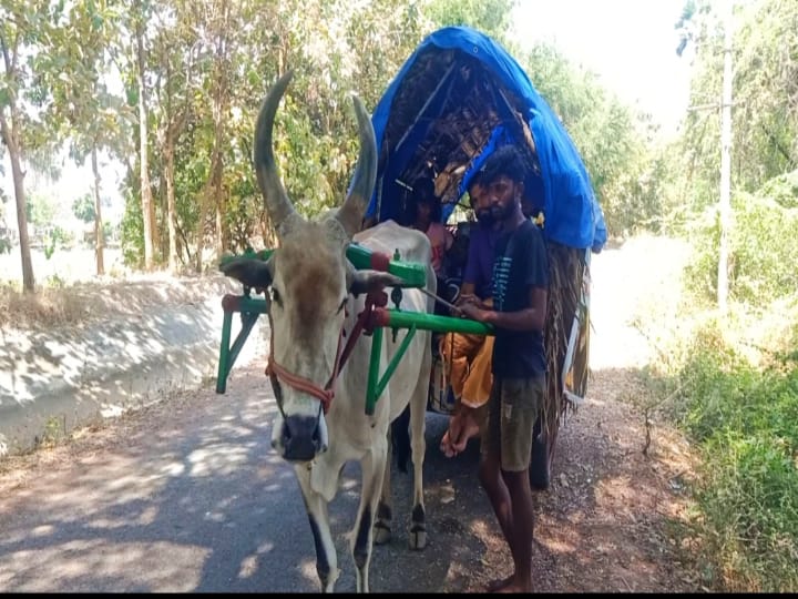 கன்னியாகுமரி முதல் சென்னை வரை.. மாட்டுவண்டியில் விழிப்புணர்வு பயணம்.. யூடியூப் தமிழ் ஜோடி அசத்தல்