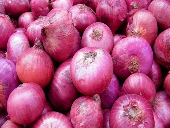कांद्याच्या दरात (Onion Price) घसरण झाल्यामुळं शेतकरी (Farmers) सध्या अडचणीत सापडला आहे. मोठा आर्थिक फटका शेतकऱ्यांना बसत आहे.
