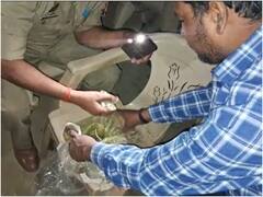 जालौन: मकान की नींव खोदने पर मजदूरों को मिले चांदी के सिक्के, अब पुलिस सुरक्षा के बीच हो रही खुदाई