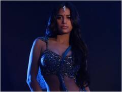Poonam Pandey Birthday: कभी बोल्ड सीन देकर की कामयाबी पाने की कोशिश, कभी अजब वादे करके बटोरीं सुर्खियां
