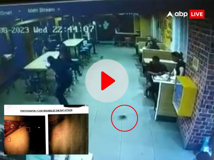 Hyderabad Mcdonalds Video rat bites 8 year old child at SPG hotel located in Telangana's Kompally CCTV video viral Watch: हैदराबाद के रेस्तरां में 8 साल के बच्चे को चूहे ने काटा, सामने आया घटना का वीडियो