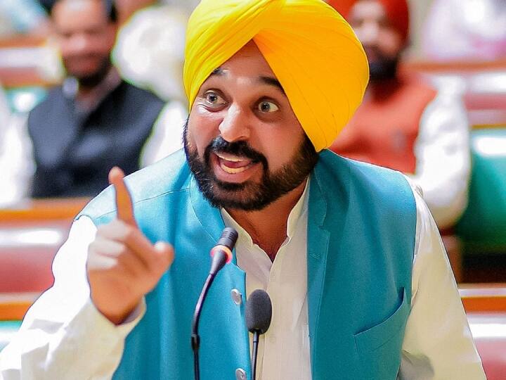 Stay within the law or get ready for ruin, warns Punjab government enemies Punjab Budget 2023: 'कायदे में रहो या बर्बादी के लिए तैयार हो जाओ', पंजाब सरकार की ‘दुश्मनों’ को चेतावनी