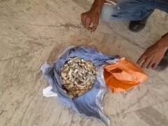 झालावाड़ में ऐसा क्या हुआ कि नाबालिग की अस्थियां लेकर SP के पास पहुंच गए परिजन?