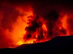 ਪਲਾਟ 'ਚ ਪਏ ਵਾਹਨਾਂ ਦੇ ਕਬਾੜ ਨੂੰ ਲੱਗੀ ਭਿਆਨਕ ਅੱਗ, ਚਾਰ ਫਾਇਰ ਬ੍ਰਿਗੇਡ ਦੀਆਂ ਗੱਡੀਆਂ ਨੇ ਪਾਇਆ ਅੱਗ 'ਤੇ ਕਾਬੂ