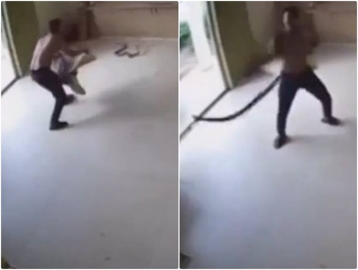 Man caught and killed a continuously attacking snake by twisting it in air video goes viral Video: हाथ धोकर शख्स के पीछे पड़ा जहरीला सांप, हिम्मत दिखाते हुए छुड़ा दिए छक्के