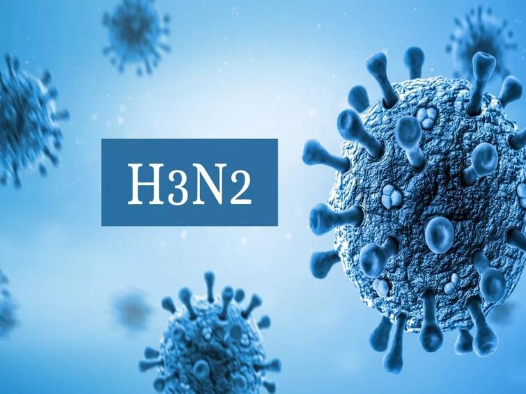 H3N2 Updates Puducherry Reported 79  H3N2 Influenza Virus New Cases Till Now H3N2 Influenza Virus  : పంజా విసురుతున్న హెచ్3 ఎన్2 వైరస్, పుదుచ్చేరిలో 79 కేసులు