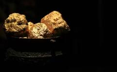 ਸੋਨੇ ਦੇ ਖਜ਼ਾਨੇ ਨਾਲ ਭਰਿਆ ਪਹਾੜ ! ਪਰ ਅੱਜ ਤੱਕ ਜੋ ਵੀ ਗਿਆ, ਕਦੇ ਵਾਪਸ ਨਹੀਂ ਆਇਆ...ਆਖਰ ਸਰਕਾਰ ਨੇ ਲਾਈ ਪਾਬੰਦੀ