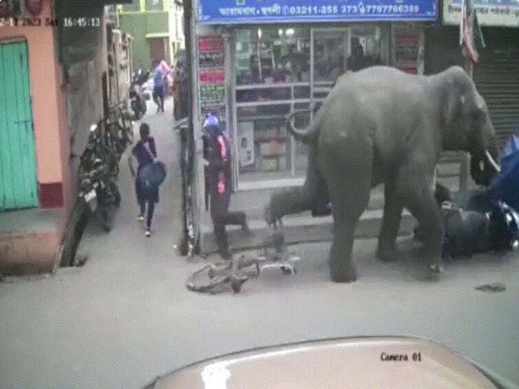 Elephant Goes On A Rampage In West Bengals Hooghly Tramples Vehicles WATCH Elephant Goes On A Rampage In West Bengal’s Hooghly, Tramples Vehicles: WATCH