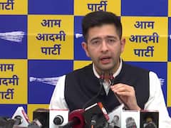 'BJP Wants One Party, One Leader': Raghav Chadha On Central Agencies Actions Against Oppn