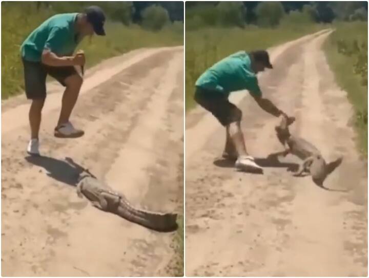 Baby crocodile injured man hand while retaliating Video goes viral Video: मगरमच्छ के बच्चे से पंगा लेना शख्स को पड़ा भारी, दांतों से ही चबा लिया पूरा हाथ