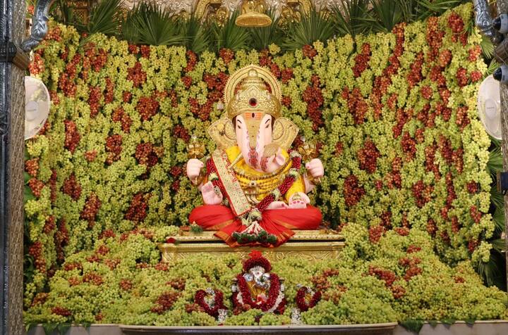 Dagdushetj Ganpati Temple Decoration : श्रीमंत दगडूशेठ हलवाई सार्वजनिक गणपती ट्रस्टतर्फे संकष्टी चतुर्थीनिमित्त मंदिरात द्राक्ष महोत्सव साजरा करण्यात आला.