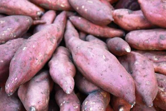 Health Tips: Consume this thing regularly in breakfast after workout, body will be formed along with weight loss Health Tips: Consume this thing regularly in breakfast after workout, body will be formed along with weight loss