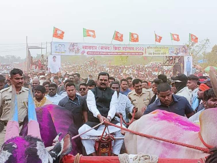 bailgada sharyat fulfill the wishes of farmers said union minister of state kapil patil शेतकऱ्यांच्या मनातील इच्छा पूर्ण करण्यासाठी बैलगाडा शर्यती : केंद्रीय राज्यमंत्री कपिल पाटील