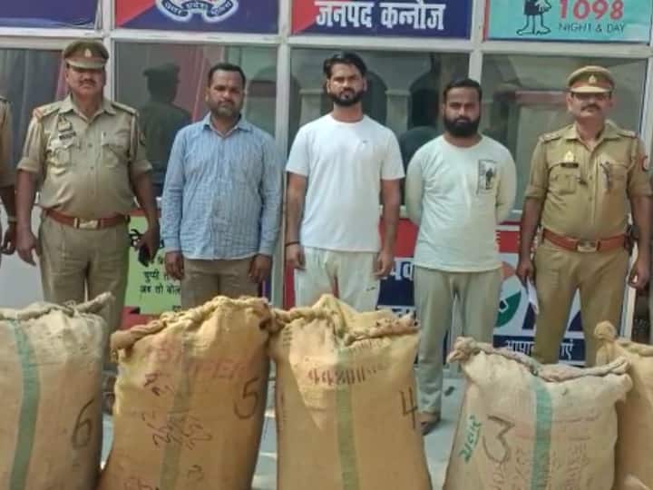 Kannauj Police disclosed gang Arrest 3 Smugglers with 256 kilogram sandalwood ANN Kannauj News: घर में छिपा रखी थी 256 किलो चंदन की लकड़ी, पुलिस ने 3 तस्करों को ऐसे किया गिरफ्तार