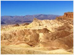 यहां हर थोड़ी सी दूर पर है 100 से ज्यादा सांप, अब तो जाना भी है बैन! पढ़िए दुनिया की अजीबोगरीब जगहों के बारे में