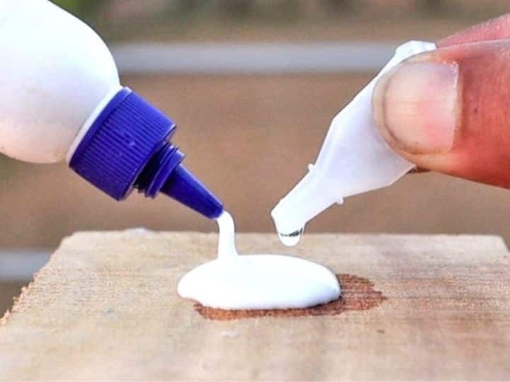 What is the white sticky substance in the Fevicol box history of fevicol फेविकोल के डिब्बे में बंद सफेद चिपचिपे पदार्थ को क्या कहते हैं? दिलचस्प है जानकारी...