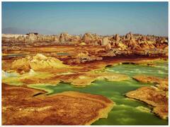 यहां हर थोड़ी सी दूर पर है 100 से ज्यादा सांप, अब तो जाना भी है बैन! पढ़िए दुनिया की अजीबोगरीब जगहों के बारे में