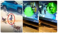 Mouse In McDonalds Restaurant Hyderabad: అబ్బాయిని ఎలుక కరిచింది.. తండ్రి ఫిర్యాదు