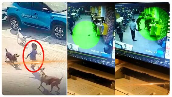 Mouse In McDonalds Restaurant Hyderabad: అబ్బాయిని ఎలుక కరిచింది.. తండ్రి ఫిర్యాదు