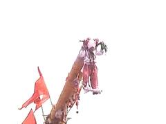 Bagad Yatra : साताऱ्यातील बगाड यात्रेचा उत्साह, लाखो भाविकांचा जल्लोष