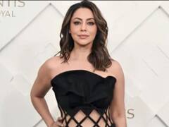 Photo: शाहरुख खान की पत्नी 15 हजार में बेच रही हैं डस्टबिन, गुलाबी खरगोश की कीमत सुन उड़ जाएंगे होश