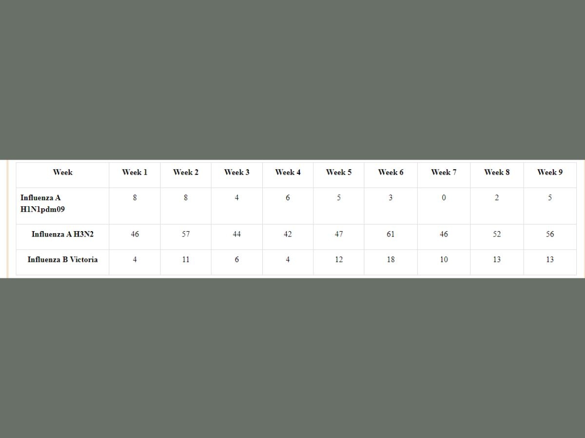 జనవరి 2 నుండి మార్చి 5, 2023 వరకు వివిధ ఇన్ఫ్లుఎంజా వైరస్ సబ్టైప్‌ల వల్ల సంభవించిన కేసుల సంఖ్య (మూలం: ఆరోగ్య మంత్రిత్వ శాఖ)