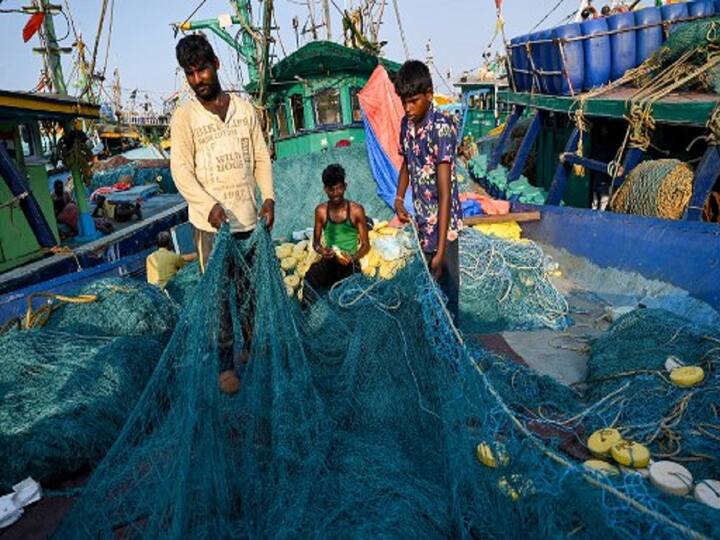 Tamil Nadu BJP Chief Writes To Jaishankar, Seeks Help For Repatriation Of 16 Fishermen Detained By Sri Lanka Tamil Nadu BJP Chief Writes To Jaishankar, Seeks Help For Repatriation Of 16 Fishermen Detained By Sri Lanka