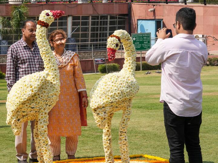 The four G20 countries that are participating in the festival are China, Japan, Singapore and the Netherlands. (Image Source: PTI)