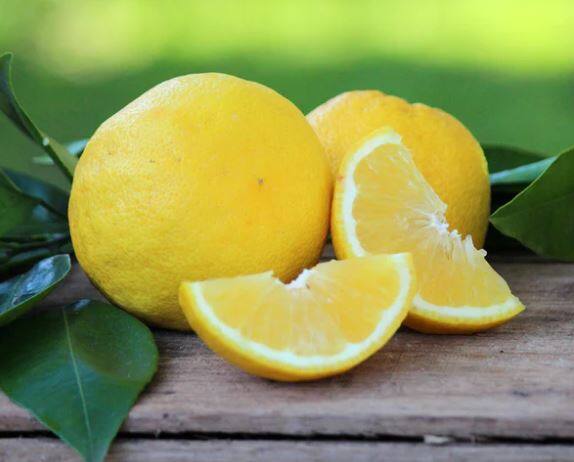 नंदूरबार (Nandurbar) जिल्ह्यातील घाऊक बाजारपेठेत भाजीपाला विक्रेत्यांकडून 80 ते 100 रुपये प्रति किलो दरानं लिंबाची विक्री केली जात आहे.