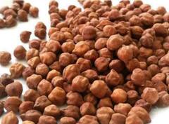 Gram : खुल्या बाजारात हरभऱ्याची कमी दरानं खरेदी