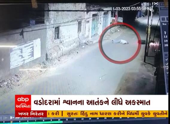 Vadodara: વડોદરામાં રખડતા શ્વાનના આતંકને કારણે અકસ્માત