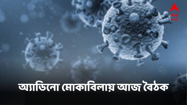 Task Force Sit For A Meeting To Tackle Adenovirus Situation In Westb Bengal Adenovirus Task Force:অ্যাডিনো-মোকাবিলায় আজ ভার্চুয়াল বৈঠক রাজ্য সরকারের টাস্ক ফোর্সের