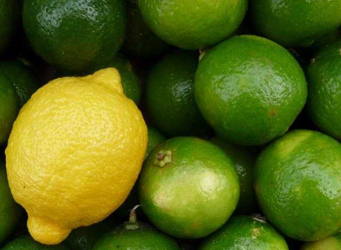 महाराष्ट्रातून मध्य प्रदेश, दिल्ली आणि राजस्थानच्या मार्केटमध्ये लिंबू पाठवली जातात. आंध्र प्रदेश सर्वात जास्त लिंबाचे उत्पादन करणारे राज्य आहे.