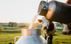 Ludhiana News: ਵੱਡਾ ਦੁੱਧ ਘੁਟਾਲਾ ਆਇਆ ਸਾਹਮਣੇ, ਕਿਸਾਨਾਂ ਨਾਲ ਲੱਖਾਂ ਰੁਪਏ ਦੀ ਹੇਰਾਫੇਰੀ